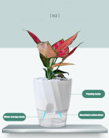 Maceta Hidroponía Automática Transparente Doble Capa De Plástico Para Oficina Rellena Con Agua Self-Watering Planter - details 2