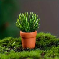 Modelo Miniatura De Plantas Simuladas Para Decoración De Casa De Muñecas Y Paisajismo Micro Bonsái Accesorios De Jardín - details 3