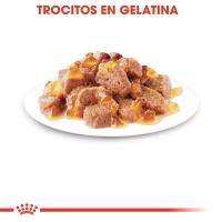 Royal Canin Sterilised en gelatina 12X85g - details 2