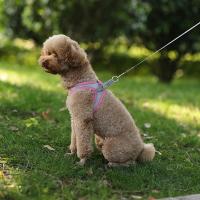 Juego De Correa Y Arnés Ajustable Para Perros Pequeños Vestido De Gato Pupilo Chihuahua Pug Bulldog Francesés Caminar Al Aire Libre - details 14