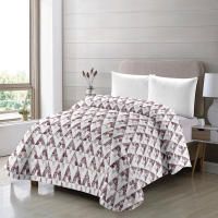 Terma Home - Edredón Nórdico Estampado Turbo Invierno Reversible 300g Alta Calidad Efecto Térmico Tacto Pluma Suave y Cálido 90 - 105 - 135 - 150 cm - details 0