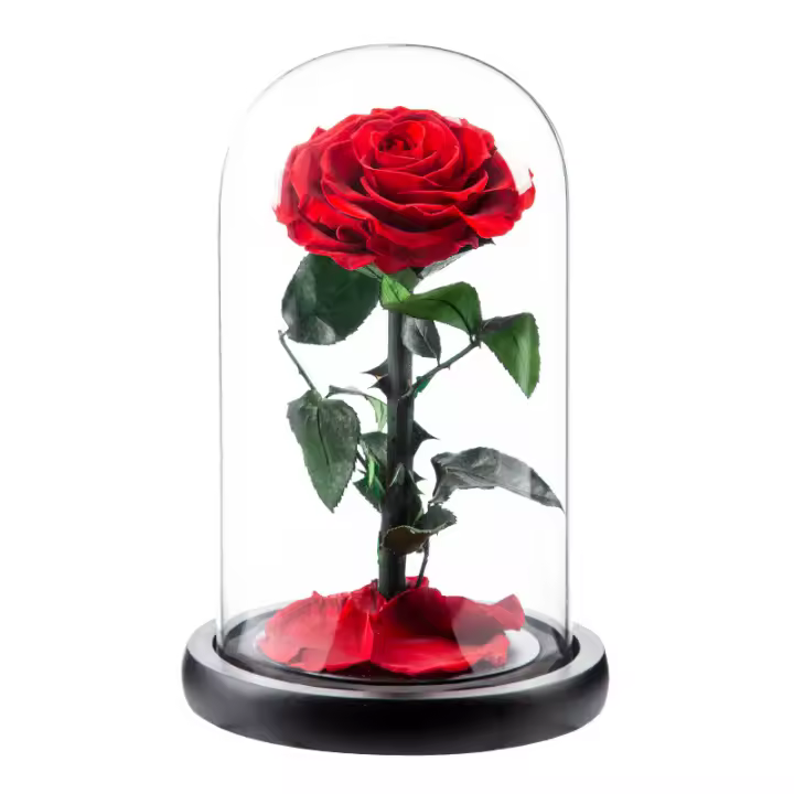 Preservado real Rose Eternal Rose en vidrio cúpula regalo para ella - 1