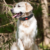 Correa Reflectante De Nylon Ajustable Para Perros Y Gatos Collar Básico Con Cierre Rápido Para Todas Las Estaciones - details 7