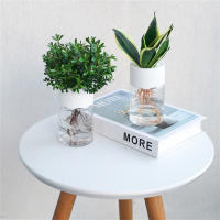 Maceta Hidroponía Miniatura Transparente Decoración Para El Hogar Vaso De Flores Sin Tierra Para Plantas Verdes Moderno Plástico - details 6