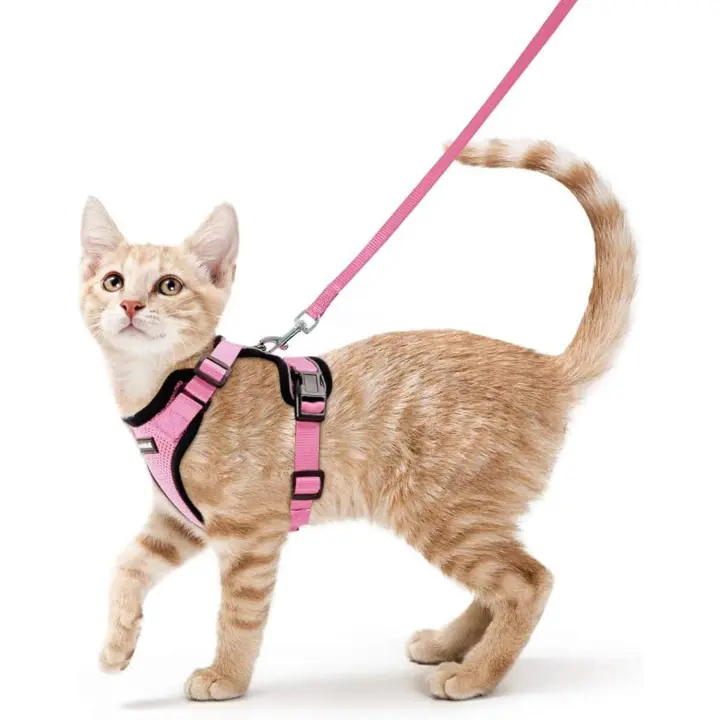 Arnés y Correa para Gatos, a prueba de fugas, With Anilla metálica para Correa, ligero, afable, reflectant, adjustable, Talla S, Rosa - 1