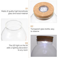 Botella De Terrario De Vidrio Borosilicato Ecológico Con Tapa Y Moss Para DIY Mini Acuario Landscape Blanco Sin LED - details 5