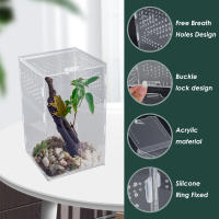 Caja De Alimentación Para Mascotas Arborescentes Acranged Transparente De Plástico Terrario De Enclosure Para Reptiles Y Invertebrados De Cría - details 1