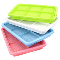Plato De Crecimiento Para Plantas 2 Capas Bandeja Para Semillas Y Ensayos Sistemas Hidroponicos De Cultivo De Frijoles - details 0