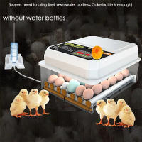 Incubador De Huevos Automático Para Pollos Pato Ganso Pichón Mini Brooder Doméstico 16 Huevos Herramienta Esencial Para Granjas Y Aves De Corral - details 3