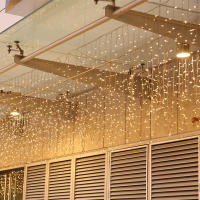 Luces De Navidad LED De Garland 4M AC 220V Cadena De Icicles Para Exterior Decoración De Jardín Y Calle Luz De Fiesta Caliente Blanca - details 8