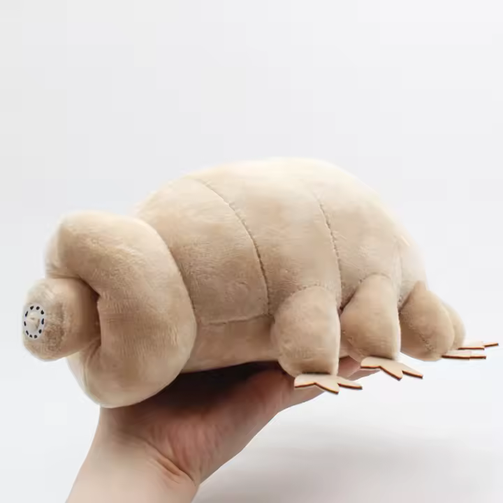 Muñeco De Peluche De 25cm De Tardigrado Lindo Juguetes Educativos Simulación De Criaturas Del Mar Para Niños Regalos De Cumpleaños - 1