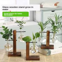 Terrario De Plantas Hidroponicas Vintage Jarrón De Flor Transparente Con Marco De Madera Vaso De Cristal Para Decoración De Hogar Y Bonsái En Mesas - details 7