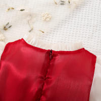 Vestido Lolita Para Bebé Niña 0-3 Años Con Doble Encaje Y Lazo Falso Dos Piezas Estilo Princesa Dulce Para Fiesta De Cumpleaños Primavera Otoño Material Algodón Y Poliéster Silueta A-line Manga Completa Longitud De Rodilla - details 10