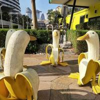 Decoración Creativa De Jardín Arte Patrón De Pato Banana Resina Vintage Adorno De Jardinería Artesanal Para El Hogar - details 2