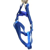 Harnés Respirable Para Perros Y Gatos Con Correa De Tracción Ajustable Triangular Ropa De Mascota Para Adultos - details 3