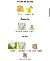Perfume Ameerat Al Arab 100ml - Lattafa, fragancia intensa de lujo - details 1