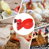 6-36Pcs Copa De Bebida Automática Para Pollos Pato Plástico Fábrica De Pollo Instalación Fácil Dispensador De Alimentos Para Pájaros - details 2