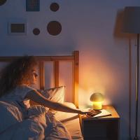 Lámpara De Mesa De Hongo Recargable Táctil Portátil Para Decoración Del Hogar Luz Nocturna Dimmer Para Dormitorio Pequeña Y Moderna - details 9