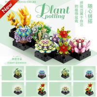 Bloques De Construcción DIY MOC Plantas Succulentas Cactus Gypsophila Bonsái Jardín Modelo Romántico Para Niños Kit De Juguetes - details 15