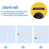 6 unids material de hueso real acústica Guitarras puente Pasadores con perla Conchas dot - details 3
