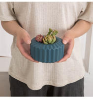 Maceta Creativa Para Suculentas Y Plantas Verdes En Plástico Grueso Decoración Para Mesa De Sala Jardín Hogar Estilo Europeo Pequeña - details 3