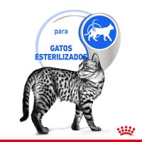 ROYAL CANIN INDOOR IN GRAVY 85G 12X85g - details 4