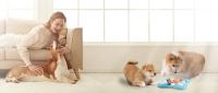 Juguetes Para Perros De Entrenamiento Inteligente Alimentos Lento Estimulación Mental Interactivos Para Grandes Medianos Y Pequeños - details 8