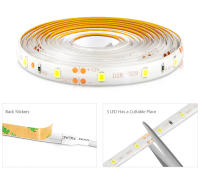 Tira De Luces LED Dimmable DC12V Con Control Remoto RF Blanco/Blanco Cálido 2835 Para Iluminación Doméstica Resistente Al Agua - details 2