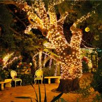 Luces Solares LED Para Exterior 12/22/32m Enredadera De Flores De Cuento De Fadas Decoración De Navidad Y Halloween Impermeables Para Fiesta En Jardín - details 3