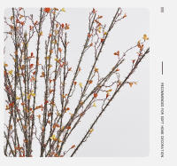 Vine Artificial De Espinas 88CM Para Decoración De Sala De Estar Hotel Casa Muerta Planta De Silicona En Café Naranja Verde Ligero Verde - details 6