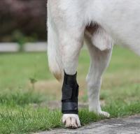 Manguito De Soporte Para Patas De Perro Protección Contra Artritis Y Recuperación De Lesiones Cubierta Protectora Para Articulaciones De La Pata Material De Poliéster - details 4