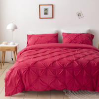 Set De Edredón 3 Piezas Con Cierre De Cremallera Y Amarras En Esquinas Microfibra Suave Con Pliegues Pinch Detección De Alta Calidad - details 78