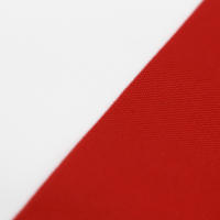 Bandera De Chile 90x150 CM Para Decoración Material Poliéster Estilo Colgante Personalizable Para Eventos Y Festivales - details 2