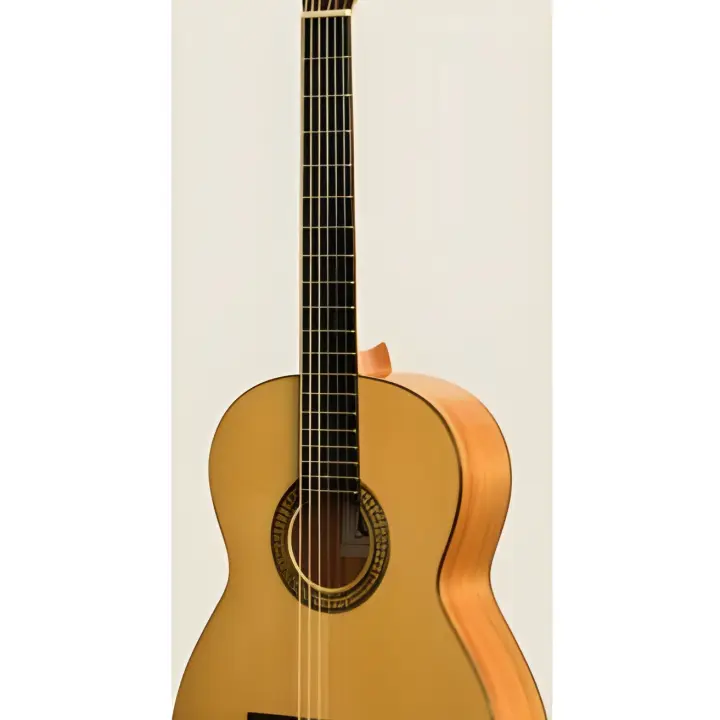 GUITARRA FLAMENCA-Camps (M5S) - 1