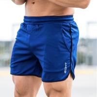 Nuevos Shorts De Verano Para Hombre 2025 Ropa Deportiva De Correr Y Gimnasio Secado Rápido Pantalones Cortos Deportivos Para Hombre - details 1
