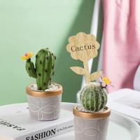60 piezas etiquetas de plantas de madera planta de madera signos etiquetas marcador jardinería vivero etiqueta jardín estacas planta etiquetas para flores plantas - details 1