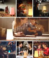 Lámpara de Mesita de noche Remote Control Temporizador Lámpara de Mesa táctil regulable Carga USB
Luz de noche para dormitorio/niños en varios Colores. - details 1