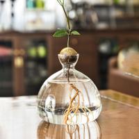 Vaso De Comino Para Cultivo De Semillas Kit De Plantación Con Pegatinas Regalo Para Amantes Del Jardín Material De Vidrio Transparente - details 0