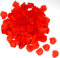 PACK DE 12 CAÑONES DE CONFETI CON FORMA DE PETALOS ROJOS 30CM SINI - details 3