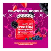 AMIX NUTRITION - Creatina Monohidrato - Sabor Frutas del Bosque - 360 Gr + Regalo - Complemento Alimenticio - details 1