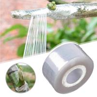 Cinta De Enraizamiento Flexible PE Autoadhesiva Para Jardín Árboles Plantas 3/4cm Ancho Roll De Cinta Para Enraizar - details 1