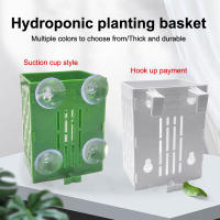Gancho De Succión Para Acuario Soporte De Planta De Plástico Cesta De Plantación Decoración De Aquascape Pot De Agua - details 0