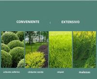 Podadora De Barril Inalámbrica Para Batería Makita 18V 2-en-1 Mini Portátil Eléctrica Para Jardín Cortacésped Y Trimmer De Arbustos - details 16