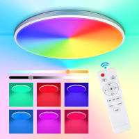 Lámpara De Techo LED RGB CW 30CM Panel Redondo Control Remoto Dimmable Instalación Revestida Cambio De Color 24W Para Dormitorio Cocina - details 1