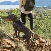 Arnes Para Perros De Medio Y Grande Con Cubierta Protectora De Silicona Antideslizante Ajustable Para Pecho No Hay Pull En Todas Las Estaciones Tamaños S M L XL Colores Negro Rojo Morado Rosa - details 4
