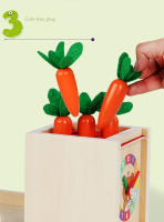 Juguete Montessori De Madera Kit De Juego Para Desarrollo Temprano En Edad De 3-6 Años Sorteo De Formas Y Caída De Bolas Caja De Permanencia De Objetos Con Monedas Y Zanahorias Para Niños Pequeños - details 22