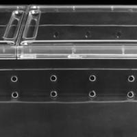 Caja De Cría Para Reptiles Acrópodo Tarántulo Geckos Insectos Tortugas - Contenedor De Habitable Para Anfibios Y Reptiles - details 3
