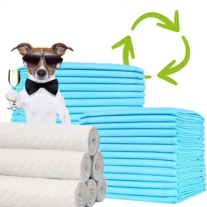 Empapadores para mascotas,Pads para perros y gatos, Alfombrilla sanitaria, absorbentes y resistentes, Entrenamiento para Baño, 10pcs, 60cm*60cm - 1