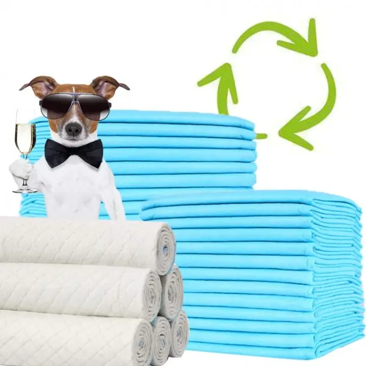 Empapadores para mascotas,Pads para perros y gatos, Alfombrilla sanitaria, absorbentes y resistentes, Entrenamiento para Baño, 10pcs, 60cm*60cm - 1