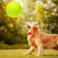 Bolas De Tenis Gigantes De 9.5 Pulgadas Inflables Juguete Para Perros Y Gatos Divertido Para Niños Y Adultos - details 1